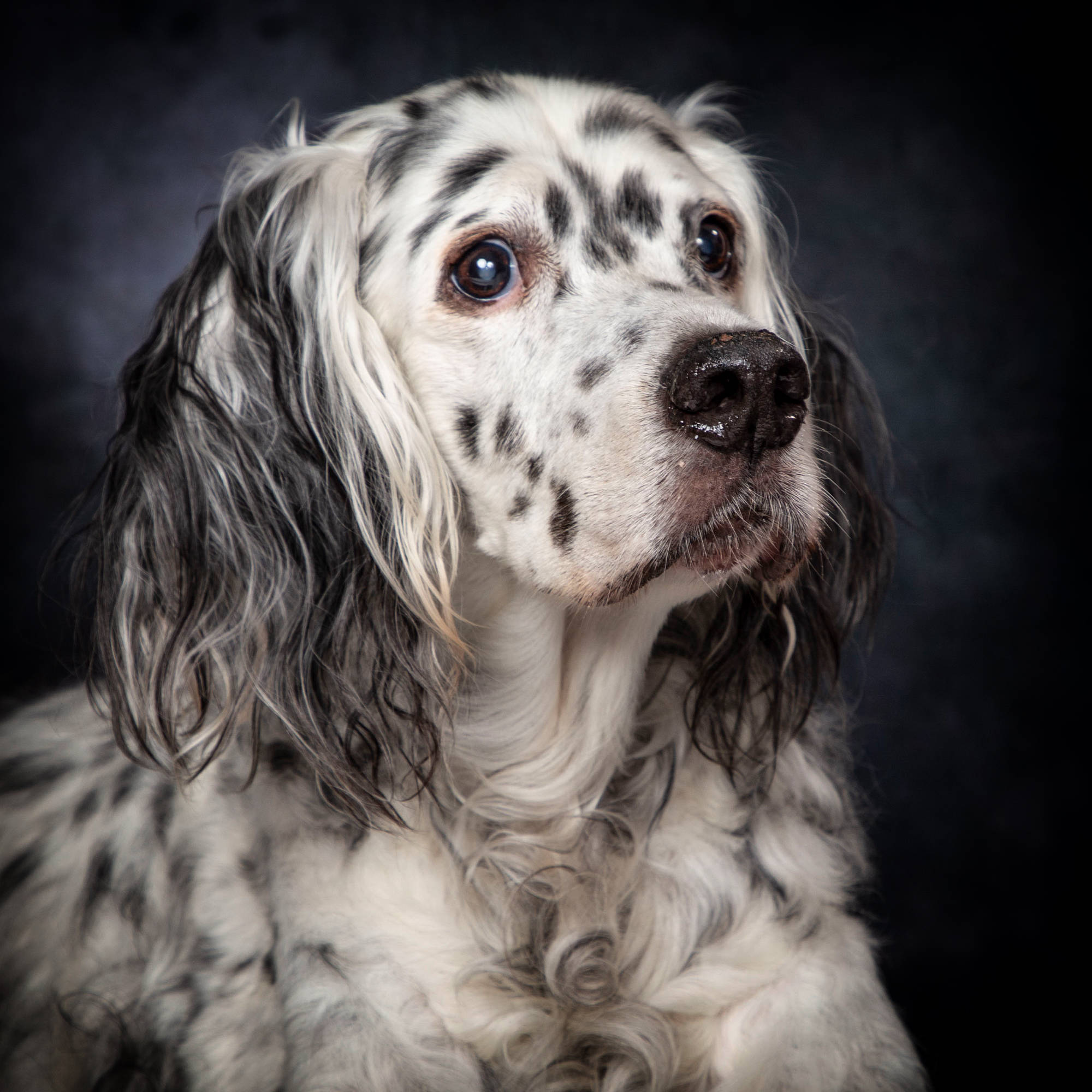 Bildnis Fotofotografie Gabriele Protze