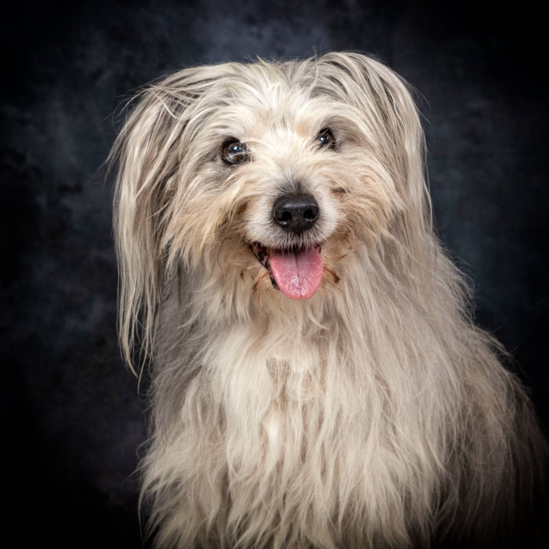 Bildnis Fotofotografie Gabriele Protze