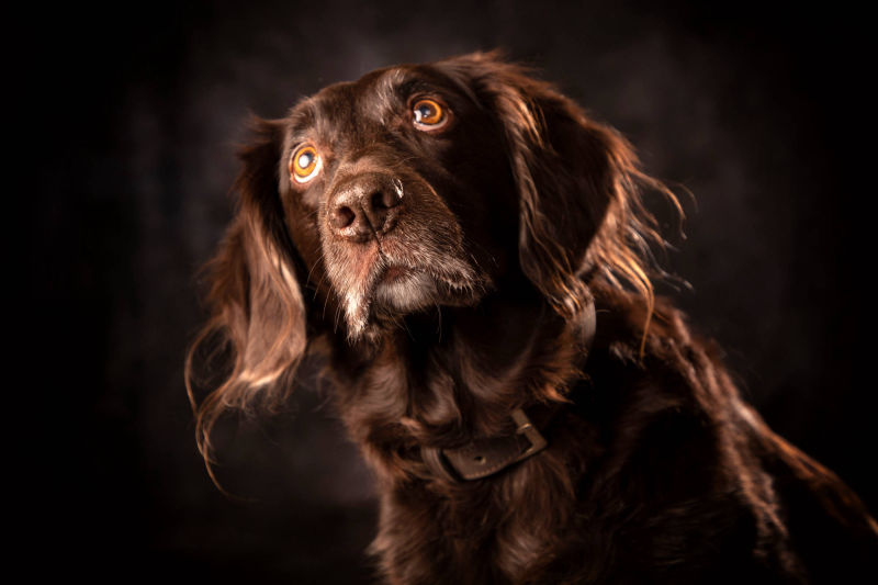 Bildnis Fotofotografie Gabriele Protze