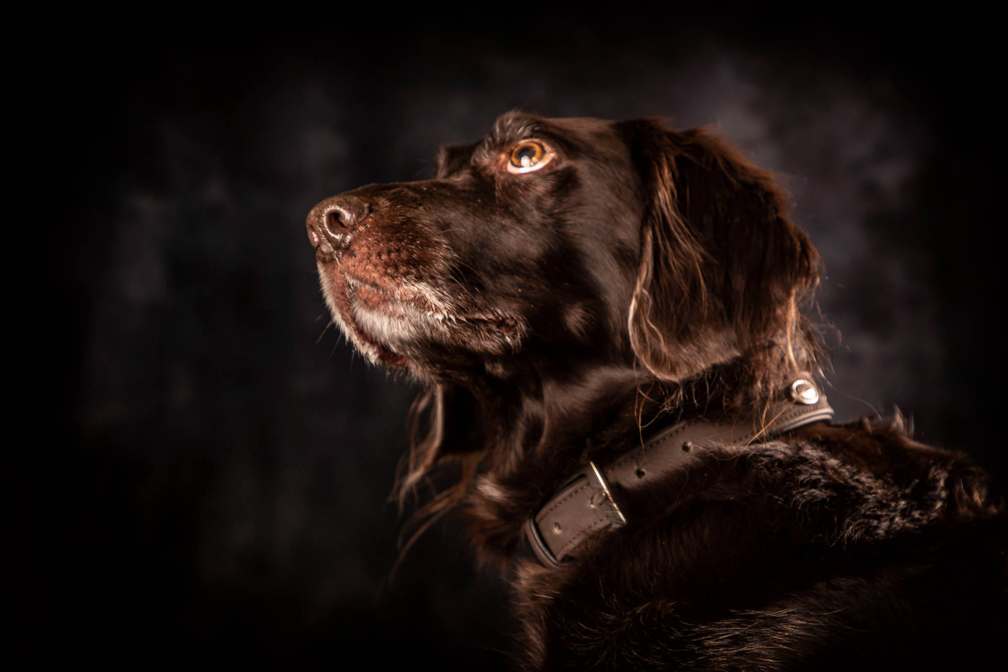 Bildnis Fotofotografie Gabriele Protze