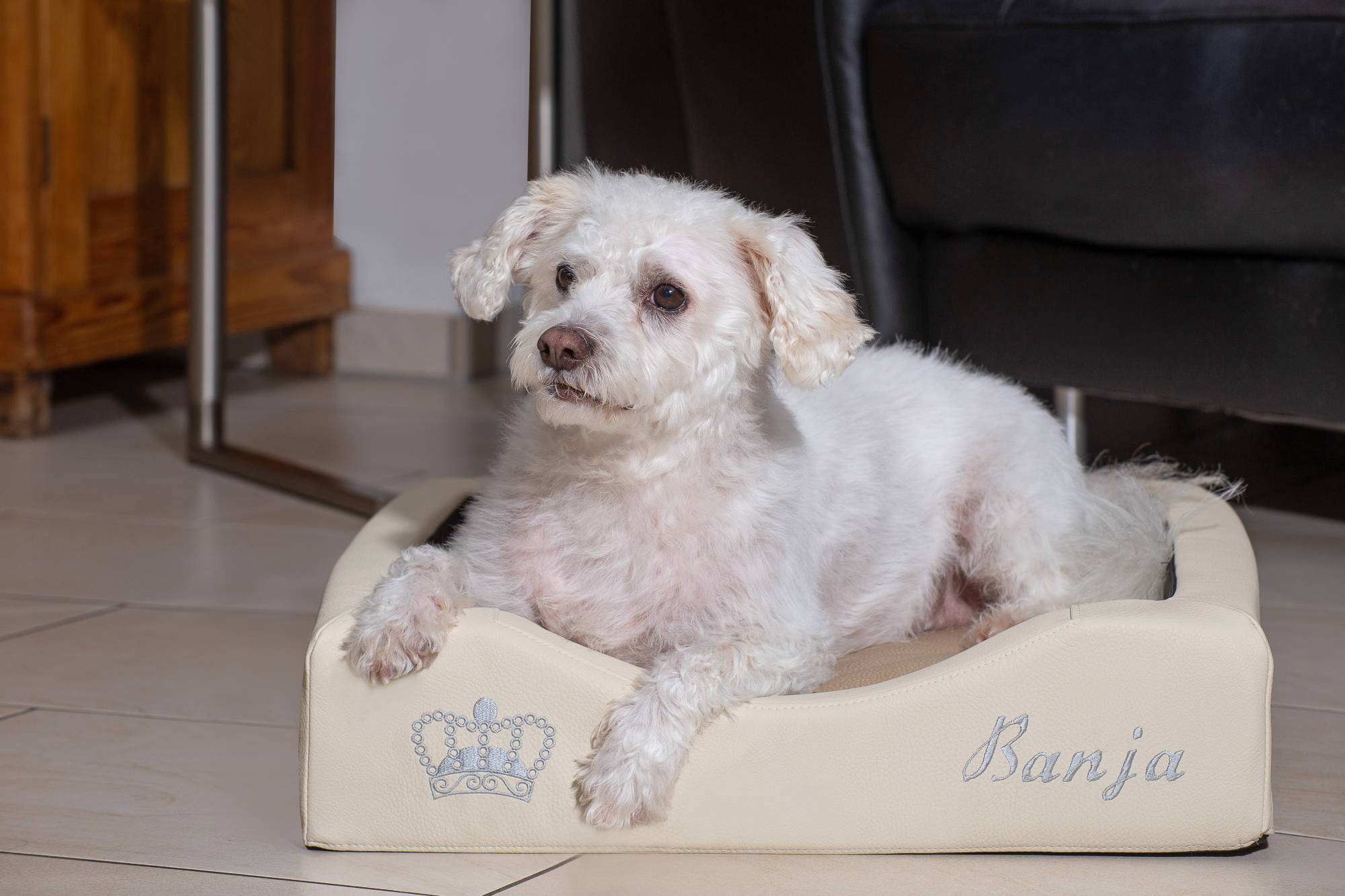 Bildnis Fotofotografie Gabriele Protze