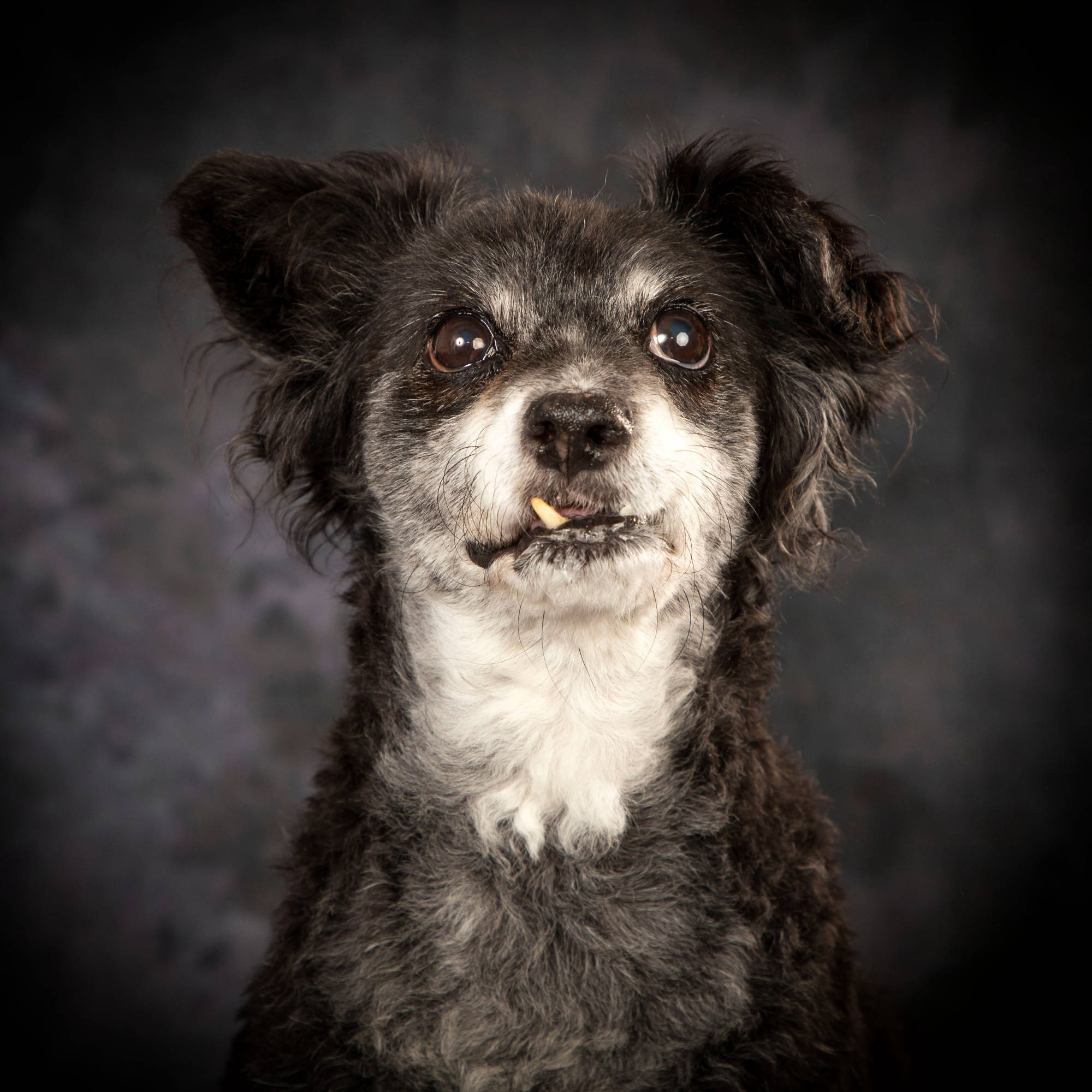 Bildnis Fotofotografie Gabriele Protze