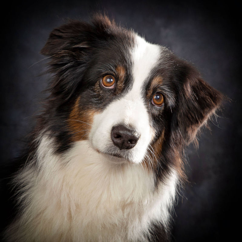 Bildnis Fotofotografie Gabriele Protze