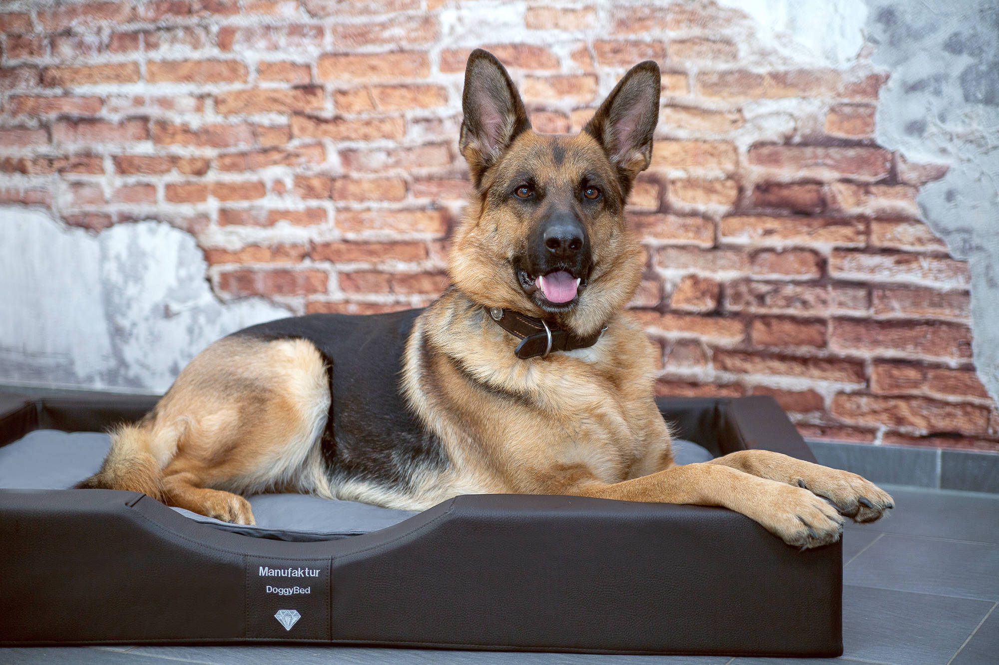 Bildnis Fotofotografie Gabriele Protze